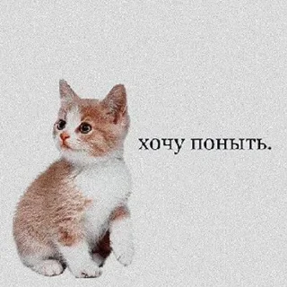 😭 emoji охаё дарка Telegram sticker 11 of 41