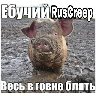 👹 emoji Админы МЧ пидорасы v2 Telegram sticker 8 of 10