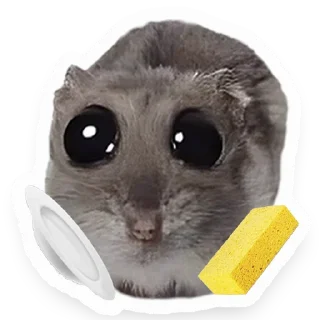 🧹 emoji Хомяк Telegram sticker 20 of 91