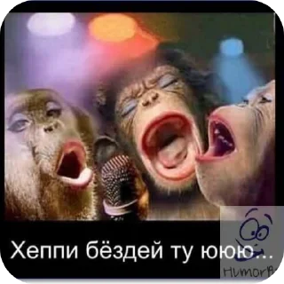 🖼 emoji Мелоди Telegram sticker 12 of 19