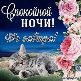 Sticker from Ядерные открытки :: @siogiso