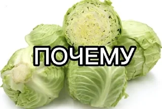 Sticker from салат