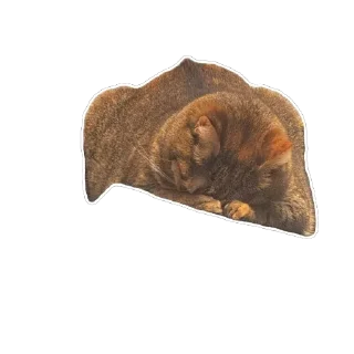 🫥 emoji Міла Telegram sticker 7 of 14