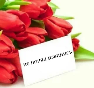🌹 emoji пуси джуси на тусе Telegram sticker 8 of 51