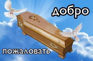 😇 emoji пуси джуси на тусе Telegram sticker 9 of 51