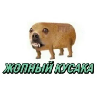 Sticker from Пуси джуси джуси пуси