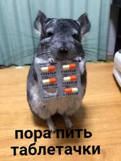 ❌ emoji Всратость №74 Telegram sticker 16 of 87