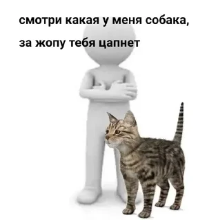 🐶 emoji белый челик(маты)@pollihub@stihub Telegram sticker 8 of 30
