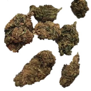 🌳 emoji ля ля ля ля Telegram sticker 11 of 71