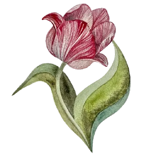 🌷 emoji Ника Кот Telegram sticker 15 of 57