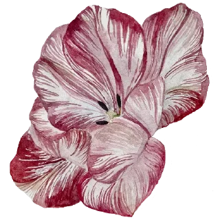 🌺 emoji Ника Кот Telegram sticker 13 of 57