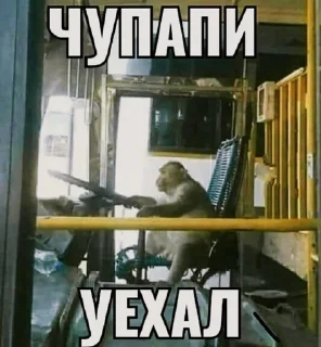 Sticker from чупапи муняня