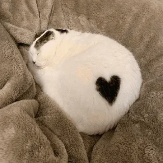 ❤️ emoji битбокс батл с яйцами Telegram sticker 11 of 57
