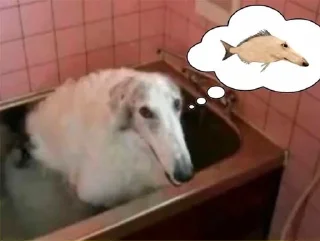 🐶 emoji битбокс батл с яйцами Telegram sticker 17 of 57