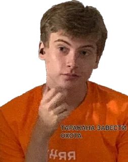 🪳 emoji Серега с тараканами Telegram sticker 19 of 27