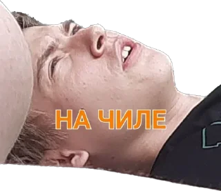 🪳 emoji Серега с тараканами Telegram sticker 21 of 27
