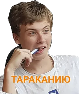 🪳 emoji Серега с тараканами Telegram sticker 18 of 27