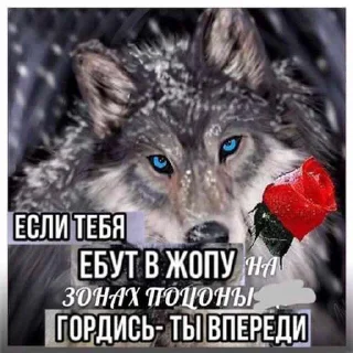 🐺 emoji играй, серега! Telegram sticker 7 of 120