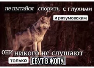 🐺 emoji играй, серега! Telegram sticker 5 of 120