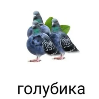 🌟 emoji мем Telegram sticker 12 of 120
