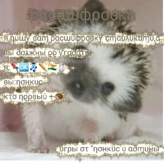 Sticker from игры от "понкис и админы"