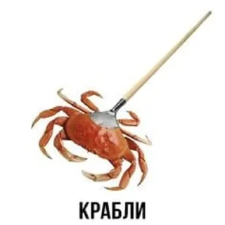 🌟 emoji мем Telegram sticker 11 of 120