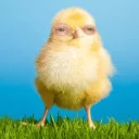 😒 emoji ДИКИЕ ЕБЕНЯ Telegram sticker 14 of 91