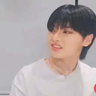 Sticker from SKZ FAMILY — @stckrRobot