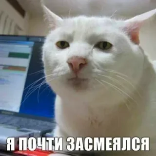 🙂 emoji Больше стиков тут: @stikery4 Telegram sticker 6 of 10
