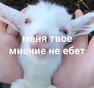😜 emoji не воровать @tr33sha Telegram sticker 12 of 49