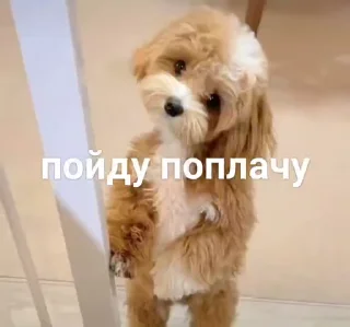 😭 emoji не воровать @tr33sha Telegram sticker 7 of 49