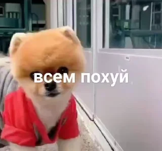 😄 emoji не воровать @tr33sha Telegram sticker 1 of 49