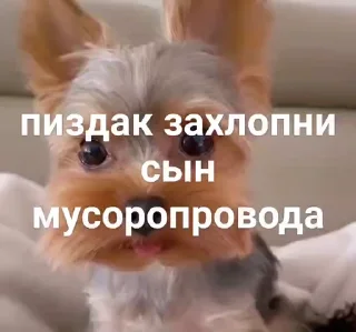 😄 emoji не воровать @tr33sha Telegram sticker 21 of 49
