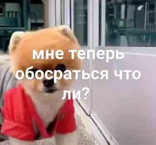 😐 emoji не воровать @tr33sha Telegram sticker 9 of 49