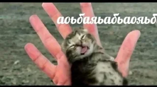 Sticker from Хуй