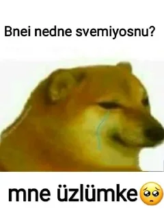 🤔 emoji @Hesenov_069 @BrendUserBot Paketi 1 Telegram sticker 6 of 30