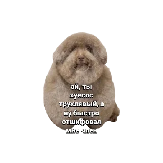 Sticker from Ебучие