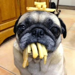 🍟 emoji Чмопсы Telegram sticker 20 of 51