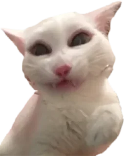 👁 emoji приколи Telegram sticker 15 of 15
