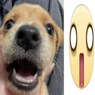 ☺️ emoji с¥¥ка ➡️ @Ctikerubot Telegram sticker 20 of 116