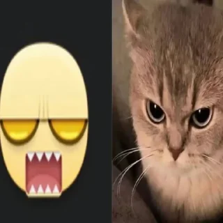 😭 emoji с¥¥ка ➡️ @Ctikerubot Telegram sticker 16 of 116
