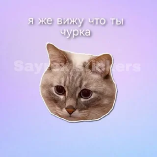 😸 emoji Zenti Stickers V2 Telegram sticker 11 of 59
