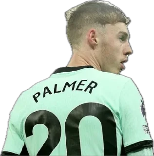 Sticker from COLD PALMER 🥶  by Arsikhaer