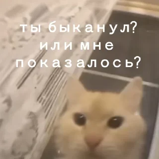 🤔 emoji Юра лох Telegram sticker 18 of 45