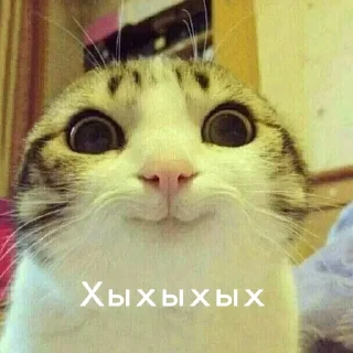 🤪 emoji Юра лох Telegram sticker 7 of 45