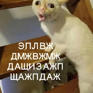 🤯 emoji Юра лох Telegram sticker 11 of 45