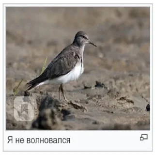 😤 emoji Стикеры Планеты Гугл Telegram sticker 20 of 70