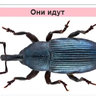 😦 emoji Стикеры Планеты Гугл Telegram sticker 7 of 70