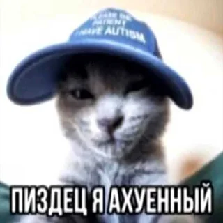 😏 emoji Кицьки ➡️ @Ctikerubot Telegram sticker 21 of 62