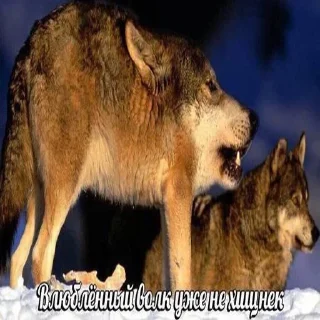 😬 emoji Больше стиков тут: @stikery4 Telegram sticker 4 of 21